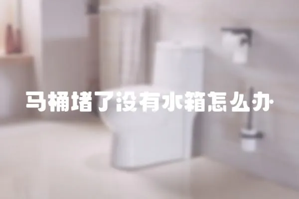馬桶堵了沒有水箱怎么辦
