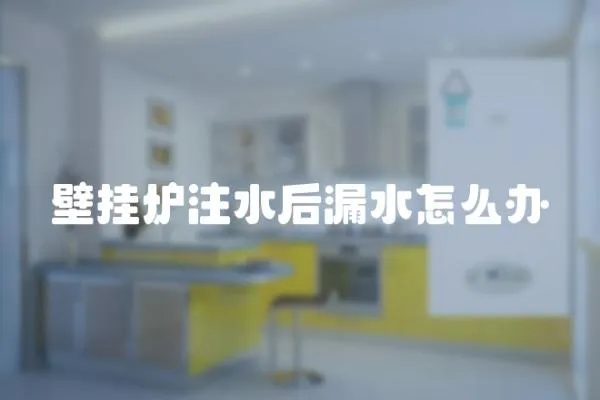 壁掛爐注水后漏水怎么辦