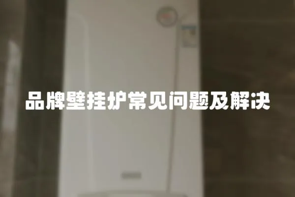 品牌壁掛爐常見問題及解決