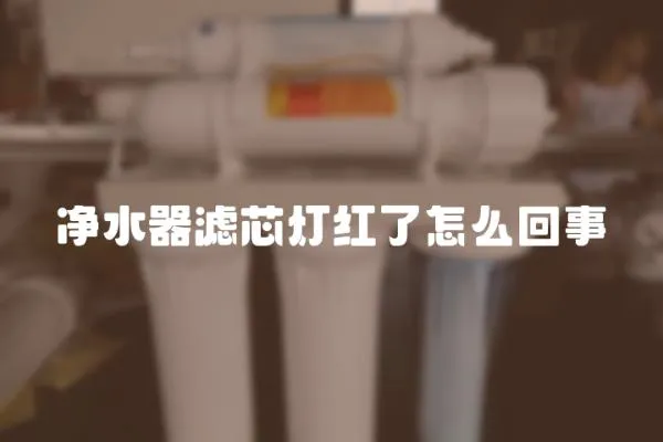 凈水器濾芯燈紅了怎么回事
