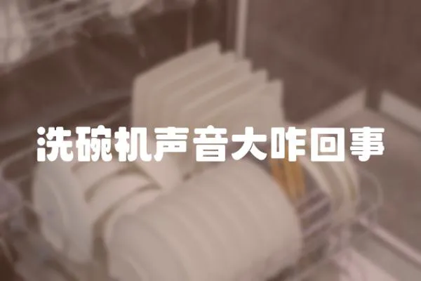 洗碗機聲音大咋回事