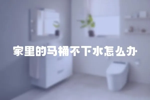 家里的馬桶不下水怎么辦