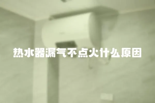 熱水器漏氣不點火什么原因