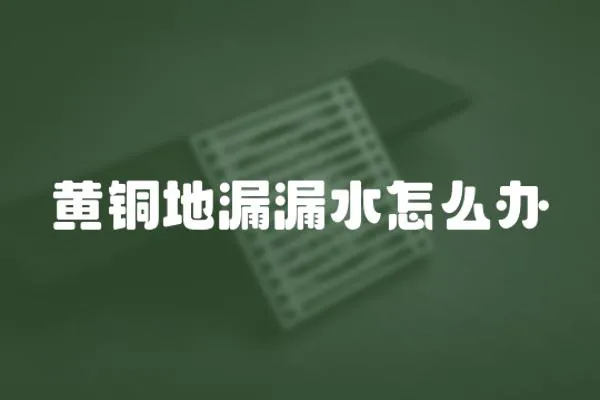 黃銅地漏漏水怎么辦