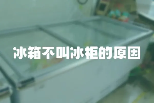 冰箱不叫冰柜的原因