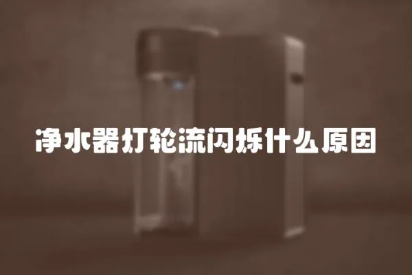 凈水器燈輪流閃爍什么原因