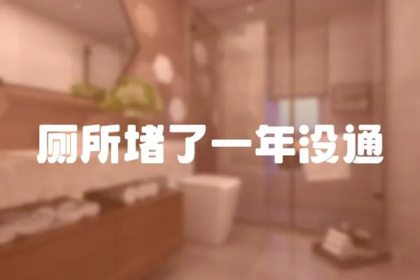 廁所堵了一年沒通