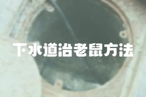 下水道治老鼠方法