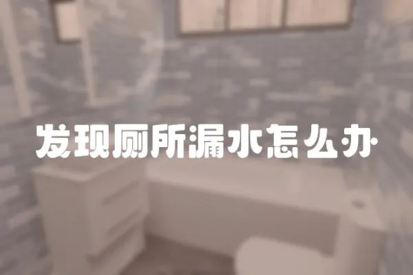 發(fā)現(xiàn)廁所漏水怎么辦