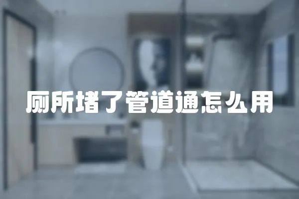 廁所堵了管道通怎么用