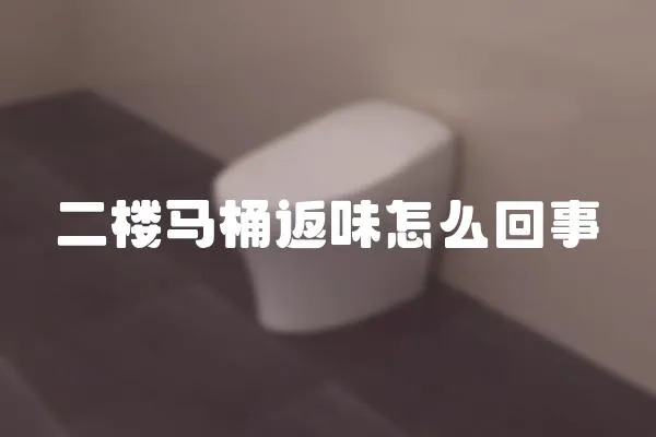 二樓馬桶返味怎么回事