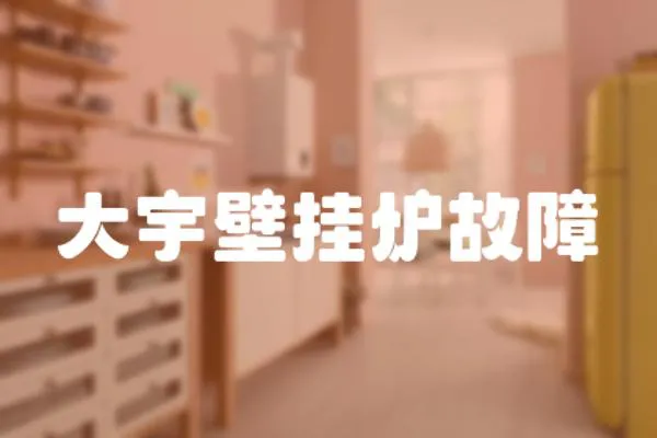 大宇壁掛爐故障