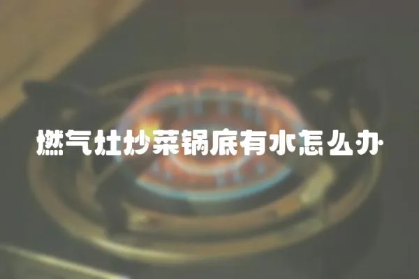 燃?xì)庠畛床隋伒子兴趺崔k