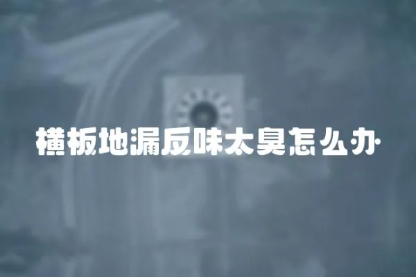 橫板地漏反味太臭怎么辦