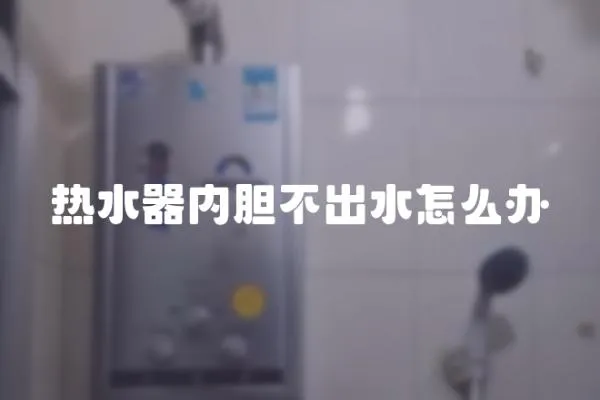 熱水器內膽不出水怎么辦