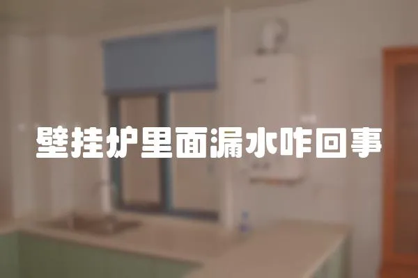 壁掛爐里面漏水咋回事