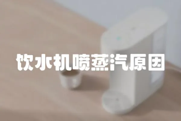 飲水機噴蒸汽原因