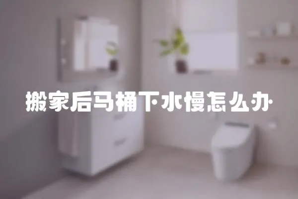 搬家后馬桶下水慢怎么辦