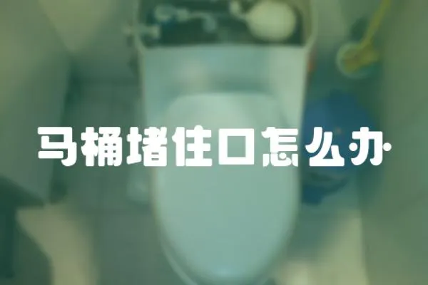 馬桶堵住口怎么辦