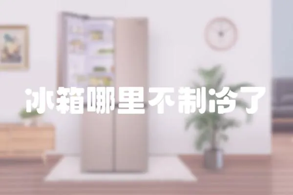冰箱哪里不制冷了