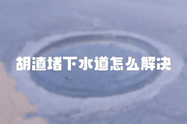 胡渣堵下水道怎么解決