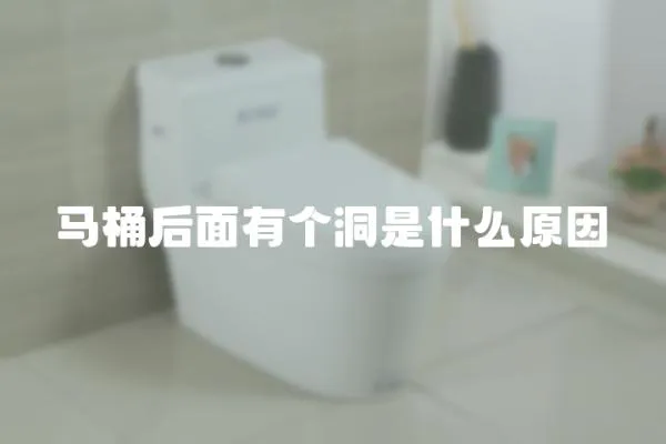 馬桶后面有個洞是什么原因
