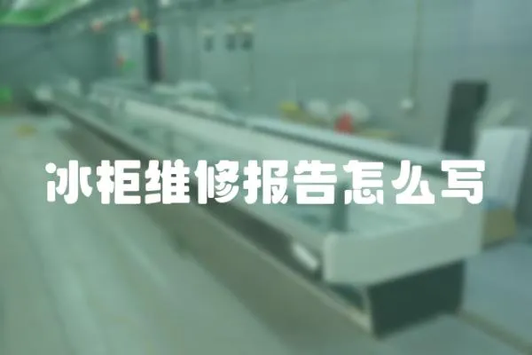 冰柜維修報告怎么寫