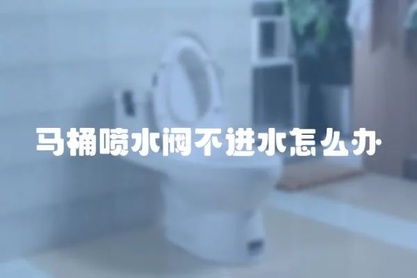 馬桶噴水閥不進水怎么辦