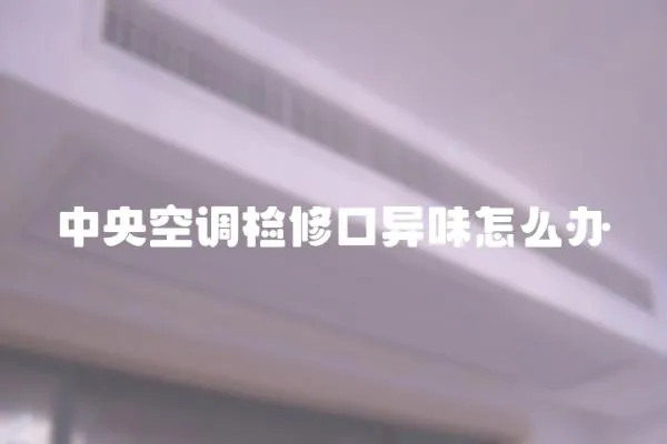 中央空調檢修口異味怎么辦