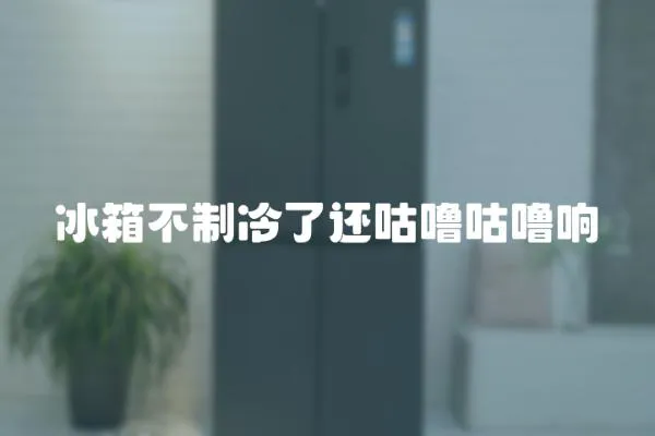 冰箱不制冷了還咕嚕咕嚕響