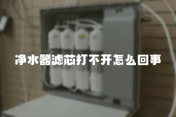 凈水器濾芯打不開怎么回事