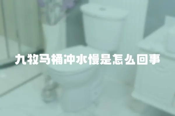 九牧马桶冲水慢是怎么回事