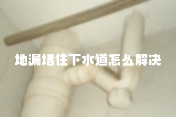 地漏堵住下水道怎么解決