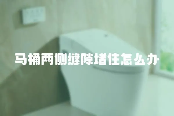馬桶兩側(cè)縫隙堵住怎么辦