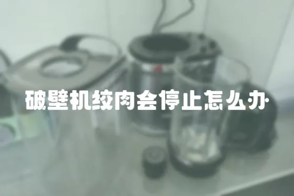 破壁機絞肉會停止怎么辦