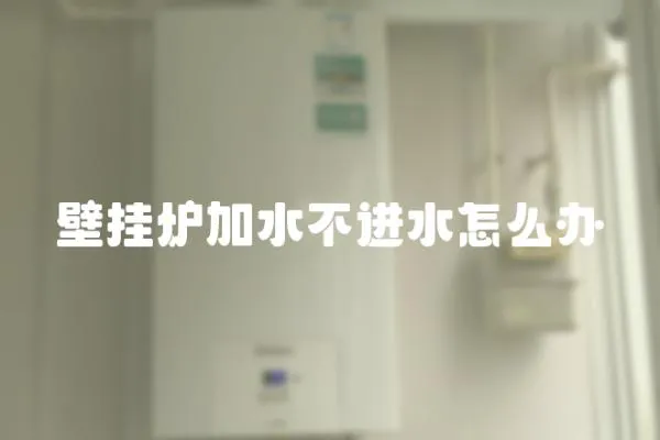 壁掛爐加水不進水怎么辦
