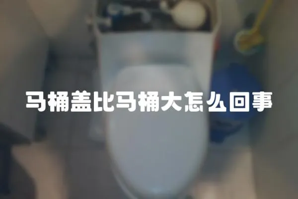 馬桶蓋比馬桶大怎么回事