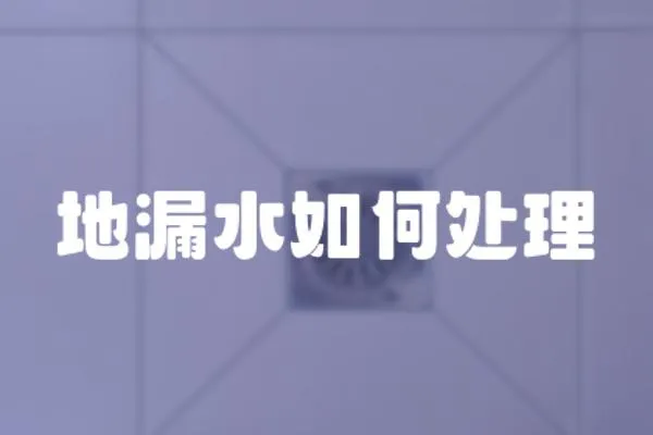 地漏水如何處理