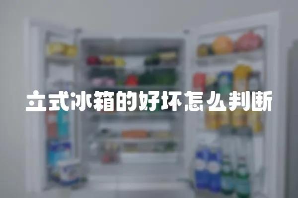 立式冰箱的好壞怎么判斷