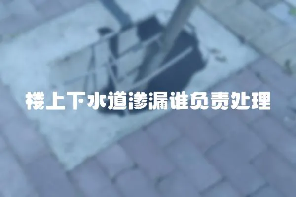 樓上下水道滲漏誰(shuí)負(fù)責(zé)處理