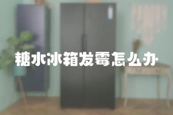 糖水冰箱發霉怎么辦