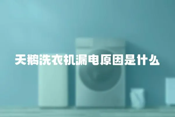 天鵝洗衣機漏電原因是什么