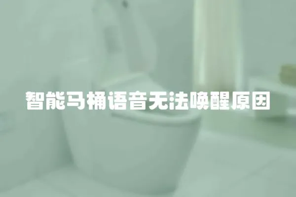 智能馬桶語音無法喚醒原因