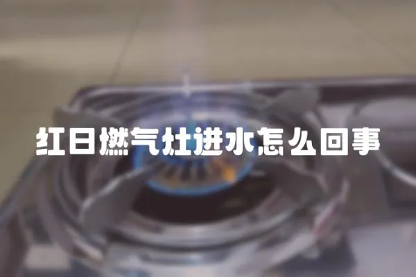 紅日燃氣灶進水怎么回事
