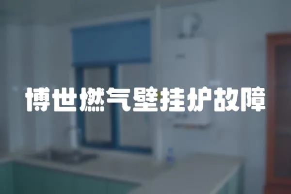 博世燃?xì)獗趻鞝t故障