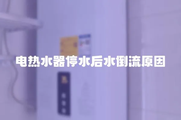 電熱水器停水后水倒流原因