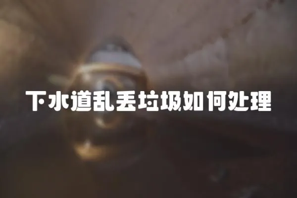 下水道亂丟垃圾如何處理