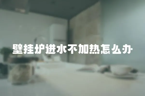 壁掛爐進水不加熱怎么辦