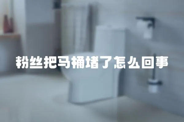 粉絲把馬桶堵了怎么回事