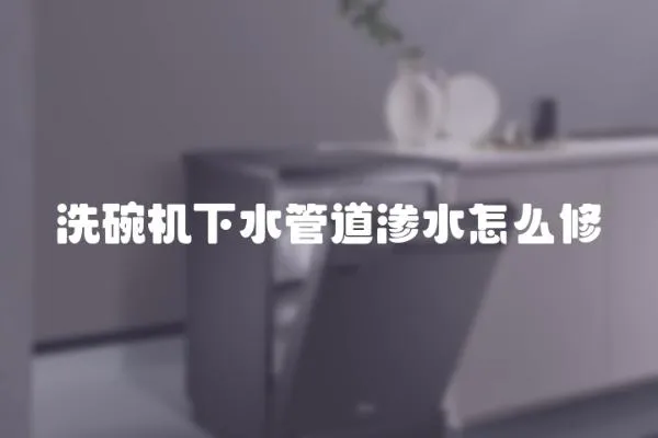 洗碗機(jī)下水管道滲水怎么修